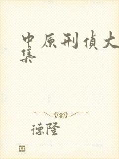 中原刑侦大案全集封面