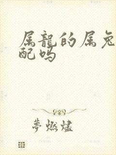 属龙的属兔的相配吗封面