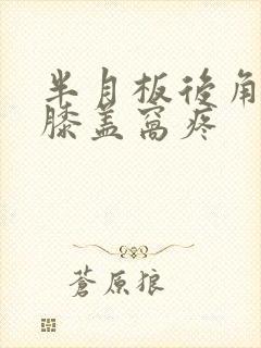 半月板后角损伤膝盖窝疼