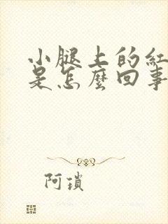 小腿上的红点点是怎么回事