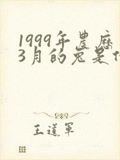 1999年农历3月的兔是什么命封面