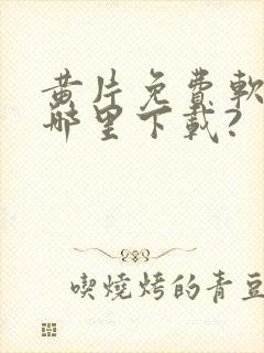 黄片免费软件在哪里下载?