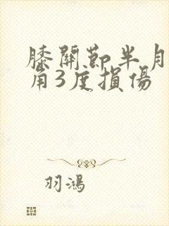 膝关节半月板后角3度损伤