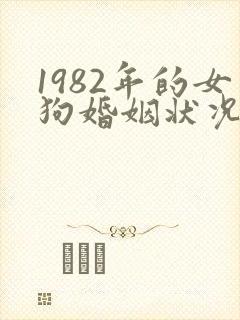 1982年的女狗婚姻状况及命运
