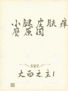 小腿皮肤痒是什么原因