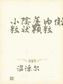 小阴唇内侧长米粒状颗粒