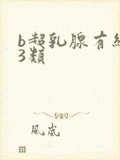 b超乳腺有结节3类