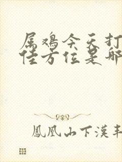 属鸡今天打牌最佳方位是哪里