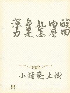 浑身肌肉酸痛无力是怎么回事封面