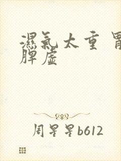 湿气太重 胃寒脾虚