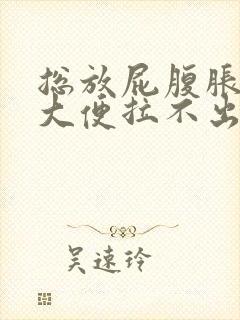 总放屁腹胀想拉大便拉不出来封面