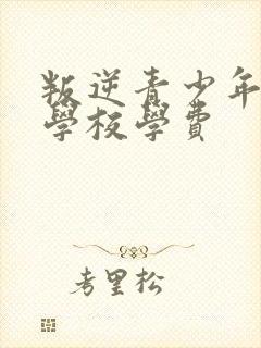 叛逆青少年纠正学校学费