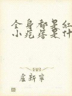 全身都是红色的小疙瘩是什么原因封面