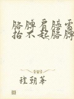 胳膊肩膀处疼 抬不起胳膊