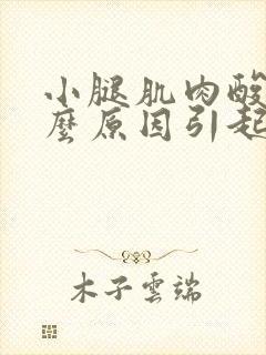 小腿肌肉酸胀什么原因引起的