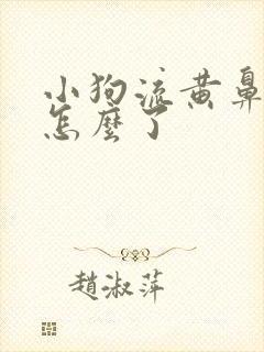 小狗流黄鼻涕是怎么了