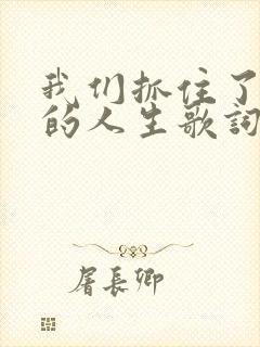 我们抓住了所谓的人生歌词封面