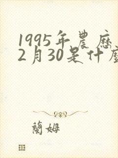 1995年农历2月30是什么命
