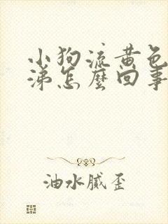 小狗流黄色的鼻涕怎么回事封面