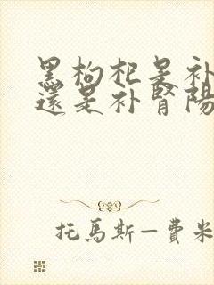 黑枸杞是补肾阴还是补肾阳封面