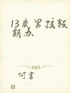 13岁男孩叛逆期办