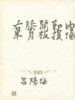 右膝关节内外侧半月板损伤1级