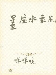 星座水象风象火象