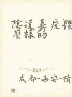 阴道长疣体是什么样的