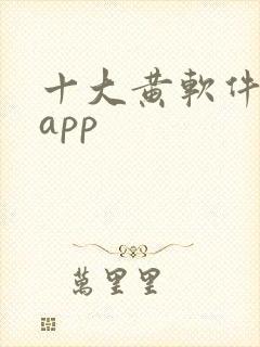 十大黄软件下载app