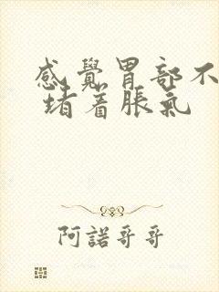 感觉胃部不消化 堵着胀气