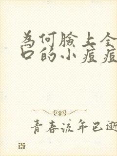 为何脸上全是闭口的小痘痘