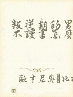 叛逆期的男孩子不读书怎么办