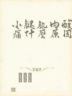 小腿肌肉酸痛胀痛什么原因引起的