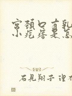 宫颈口有乳头状小疙瘩是怎么回事