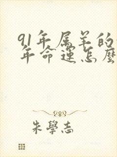 91年属羊的今年命运怎么样