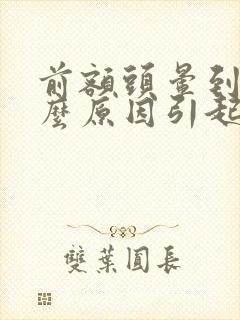 前额头晕到底什么原因引起的