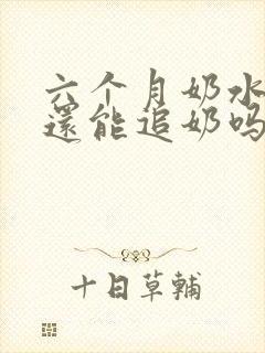 六个月奶水少了还能追奶吗