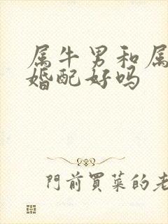 属牛男和属虎女婚配好吗