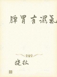 脾胃有湿气太重