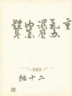 体内湿气重有口臭怎么办