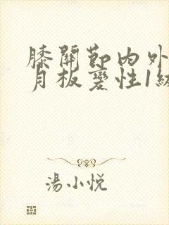 膝关节内外侧半月板变性1级封面