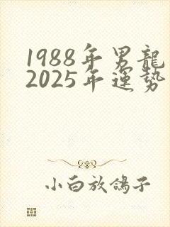 1988年男龙2025年运势完整版