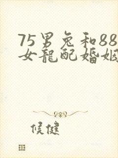 75男兔和88女龙配婚姻好不好