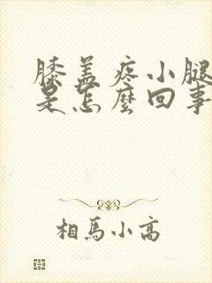 膝盖疼小腿发凉是怎么回事