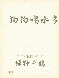 狗狗喝水多尿黄封面