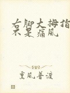 右脚大拇指痛是不是痛风封面