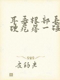 耳垂根部长了个硬疙瘩一碰就疼封面