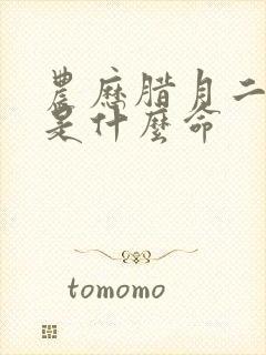 农历腊月二十五是什么命封面