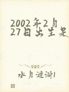 2002年2月27日出生是什么命