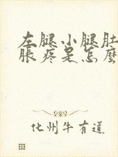 左腿小腿肚子酸胀疼是怎么回事